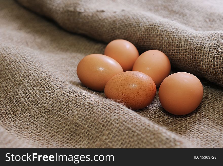 Eggs on the gunny cloth.