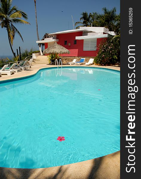 Pool against a country house and a palm tree. Pool against a country house and a palm tree