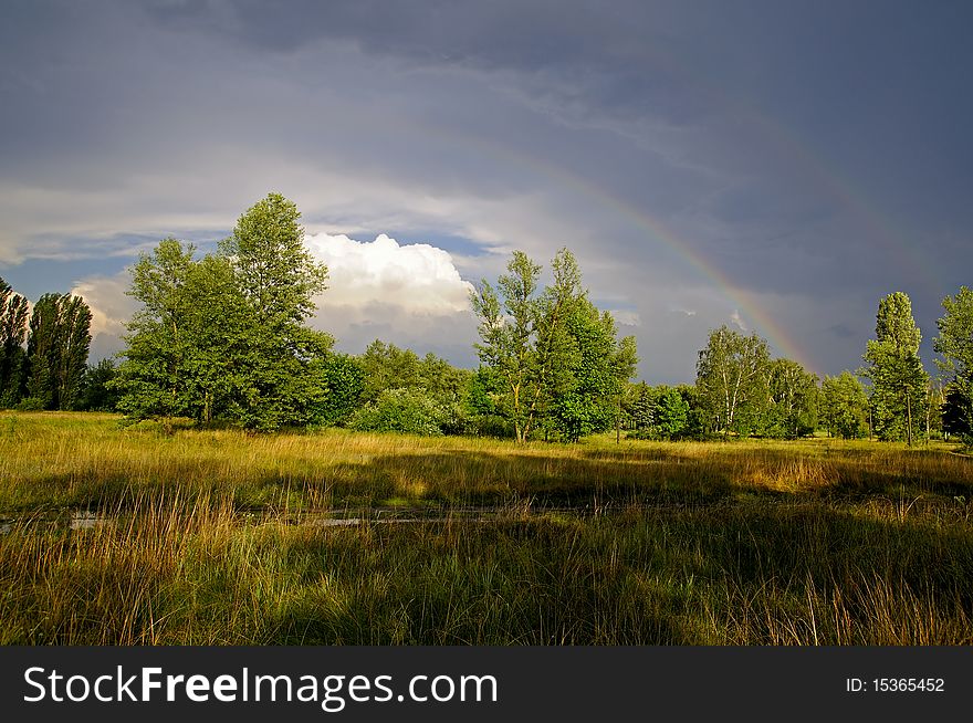 Nature in Ukraine. Meadows in summer with trees and cloudy sky with rainbow. Nature in Ukraine. Meadows in summer with trees and cloudy sky with rainbow.