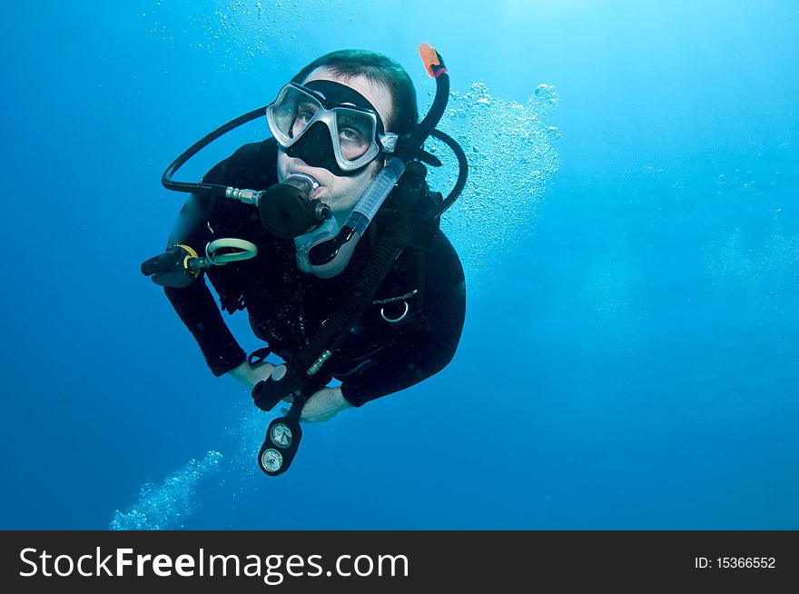 Man scuba diver swims in blue water. Man scuba diver swims in blue water