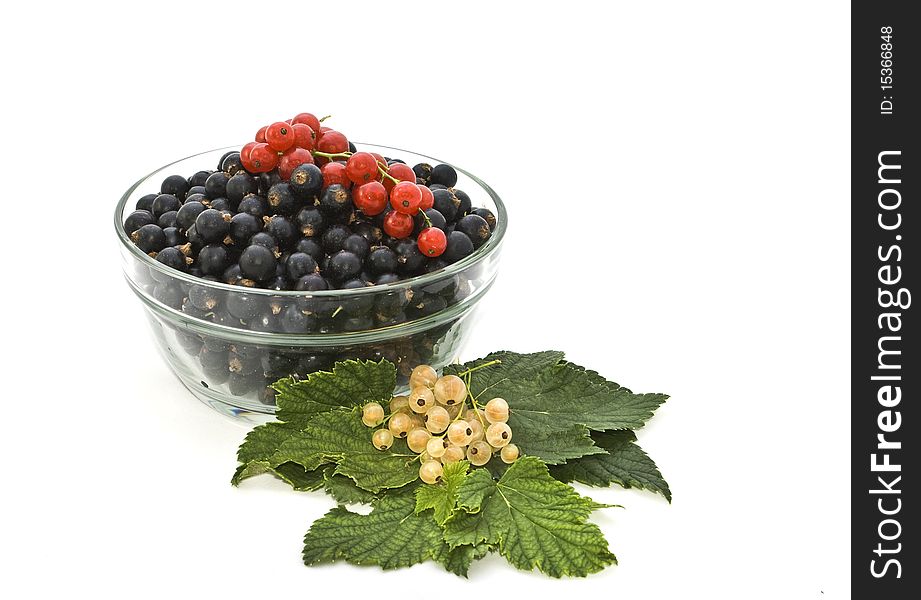 Still life of colored currants.