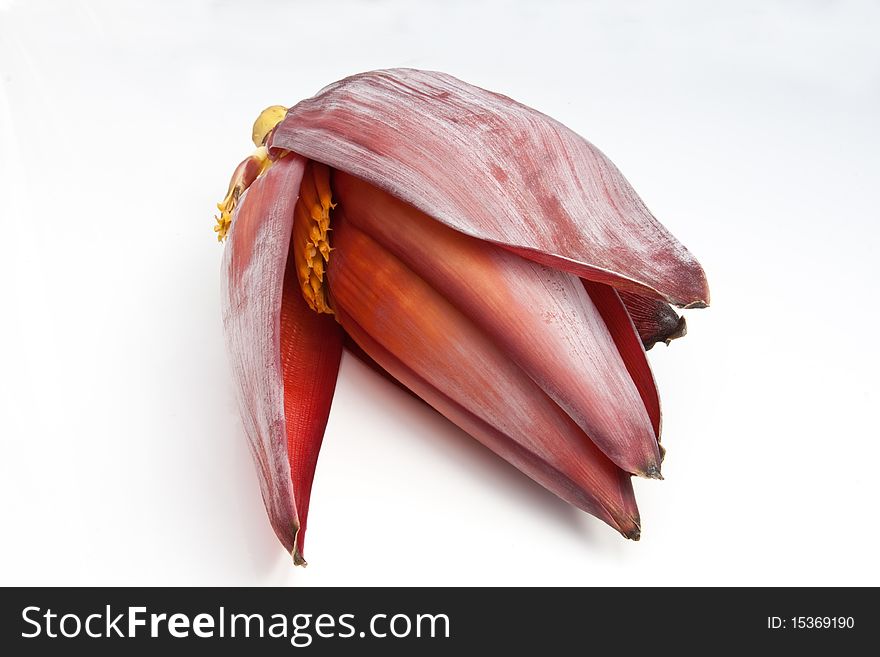 A banana flower, used in curries & salads, against a white background