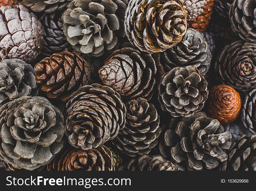 Cones lie on a wooden background, isolated, christmas, white, winter, autumn, fir, decoration, snow, tree, nature, evergreen, season, brown, closeup, pinecone, celebration, xmas, seed, macro, plant, object. Cones lie on a wooden background, isolated, christmas, white, winter, autumn, fir, decoration, snow, tree, nature, evergreen, season, brown, closeup, pinecone, celebration, xmas, seed, macro, plant, object