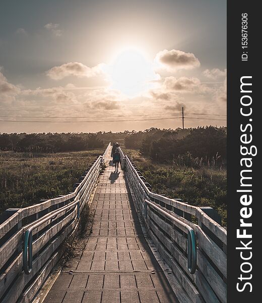 Beautiful vertical symmetric shot of a wooden bridge leading to the beach taken at golden hour