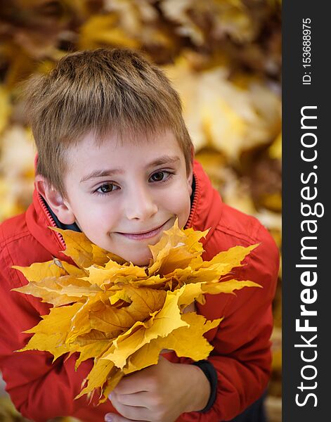 Cute boy with a bouquet of autumn leaves stands and looks up. Top view. Autumn concept