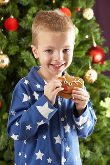 Young Boy Eating Cookie In Front Of Christmas Tree Royalty Free Stock Images