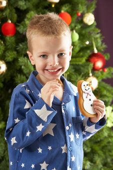 Young Boy Eating Cookie In Front Of Christmas Tree Stock Photo Young Boy Eating Cookie In Front Of Christmas Tree Stock Photo