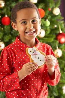 Boy Eating Cookie In Front Of Christmas Tree Stock Photography Boy Eating Cookie In Front Of Christmas Tree Stock Photography