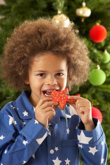 Young Boy Eating Cookie In Front Of Christmas Tree Stock Photos Young Boy Eating Cookie In Front Of Christmas Tree Stock Photos