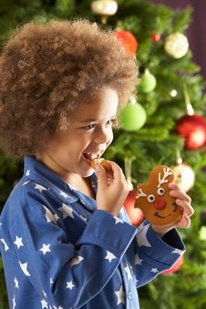 Young Boy Eating Cookie In Front Of Christmas Tree Royalty Free Stock Photos Young Boy Eating Cookie In Front Of Christmas Tree Royalty Free Stock Photos