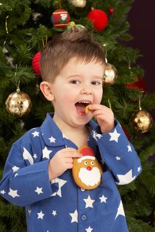 Boy Eating Cookie In Front Of Christmas Tree Stock Photography Boy Eating Cookie In Front Of Christmas Tree Stock Photography