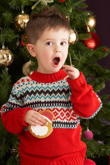Boy Eating Cookie In Front Of Christmas Tree Royalty Free Stock Photography Boy Eating Cookie In Front Of Christmas Tree Royalty Free Stock Photography