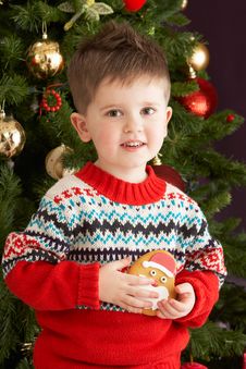 Boy Eating Cookie In Front Of Christmas Tree Stock Images Boy Eating Cookie In Front Of Christmas Tree Stock Images