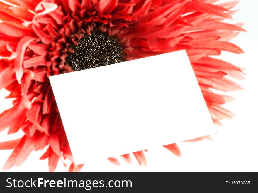 Huge red flower with blank white card for invitation or celebration. Huge red flower with blank white card for invitation or celebration.