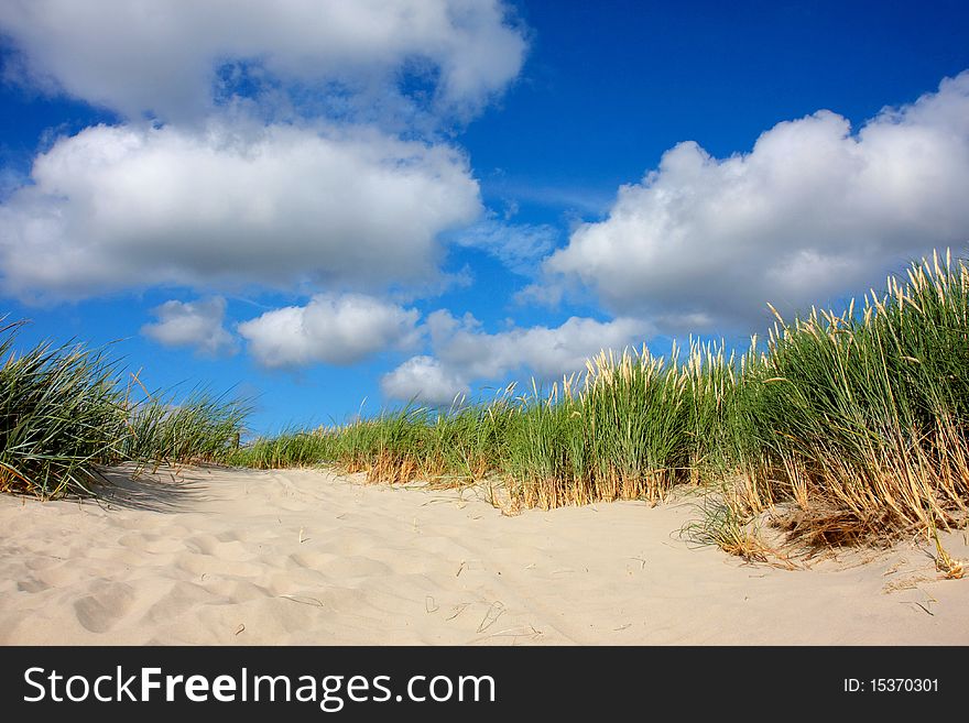 Sand dune with grass