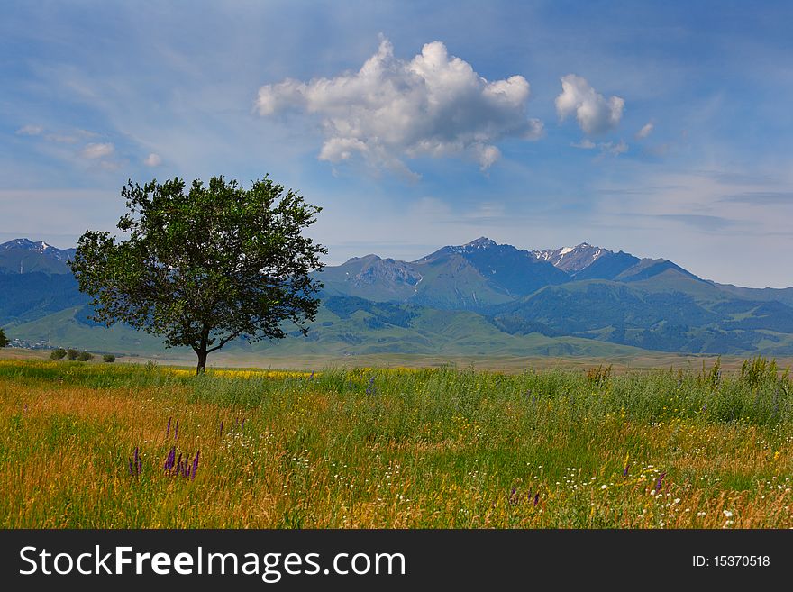 Beautiful spring landscape with a tree