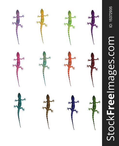 Lizards in many colours on a white background.