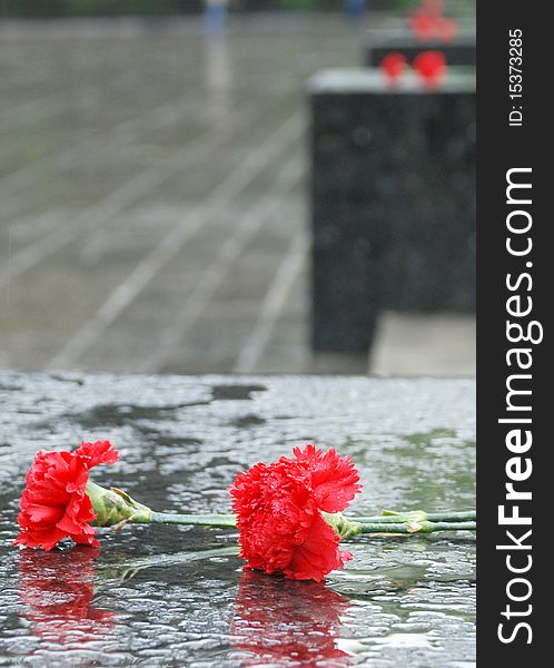 Red carnations on a black granite wet