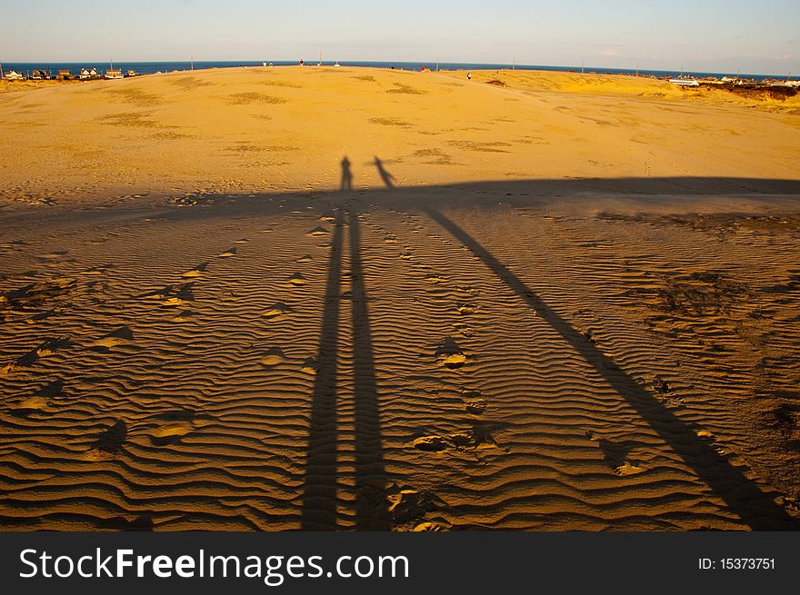 Shadows across sand dunes in North Carolina