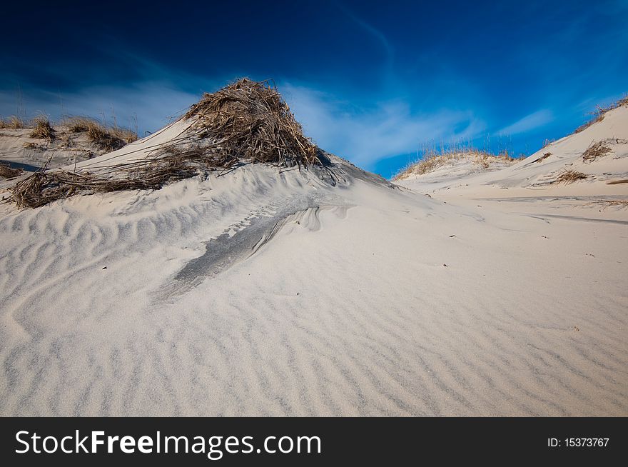 Sand dune in outer banks North Carolina