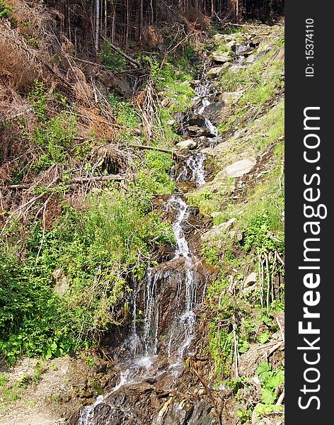 Landscape With Waterfall On Dead Branches