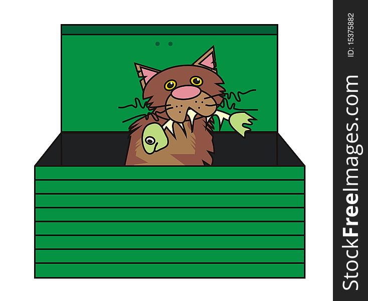 Homeless cat in a rubish box