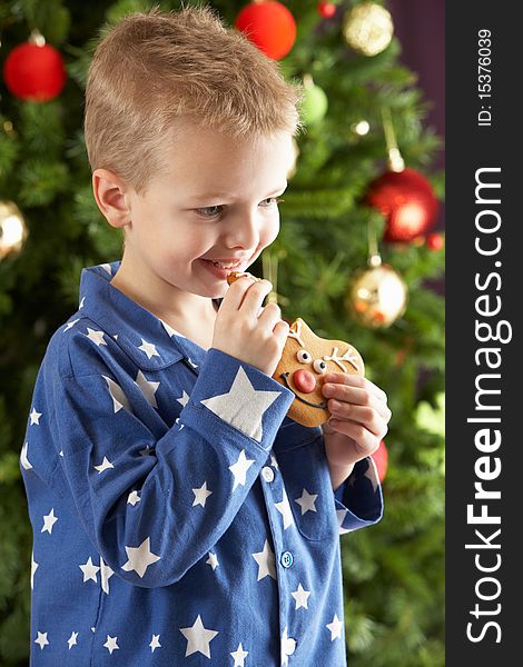 Young Boy Eating Cookie In Front Of Christmas Tree Smiling