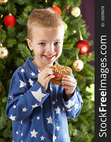 Young Boy Eating Cookie In Front Of Christmas Tree Smiling