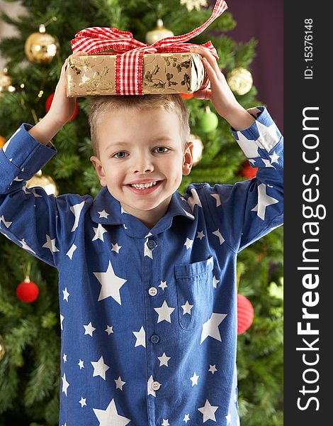 Boy Holding Wrapped Present In Front Of Tree