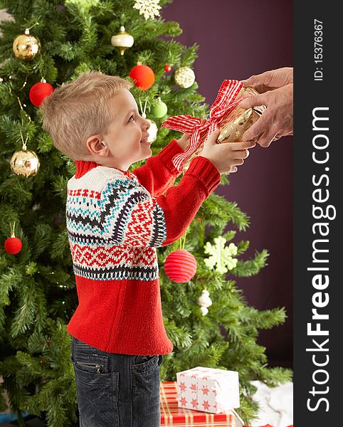 Boy Holding Present In Front Of Christmas Tree