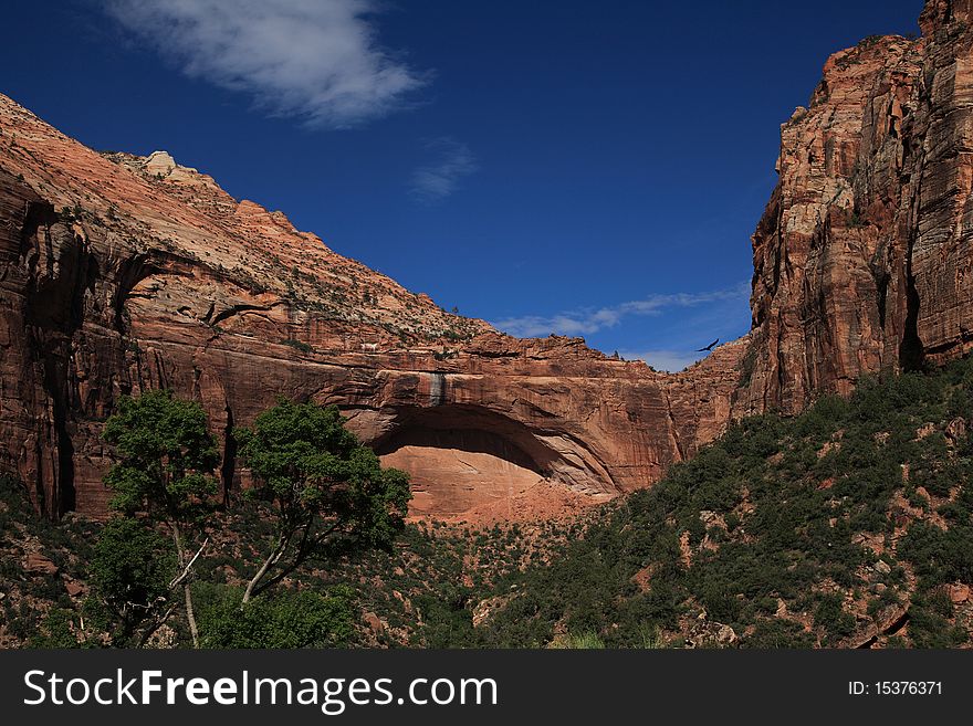 Zion National Park 6