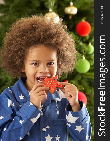 Young Boy Eating Cookie In Front Of Christmas Tree At Camera