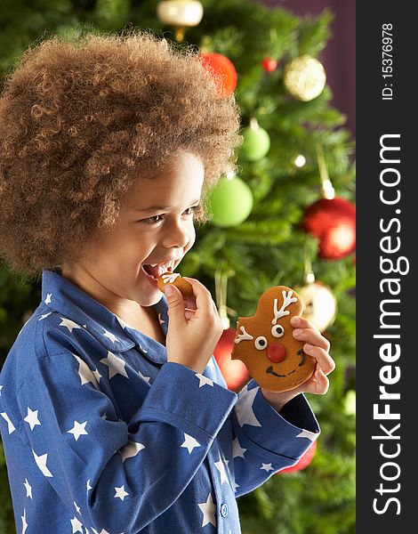 Young Boy Eating Cookie In Front Of Christmas Tree Smiling