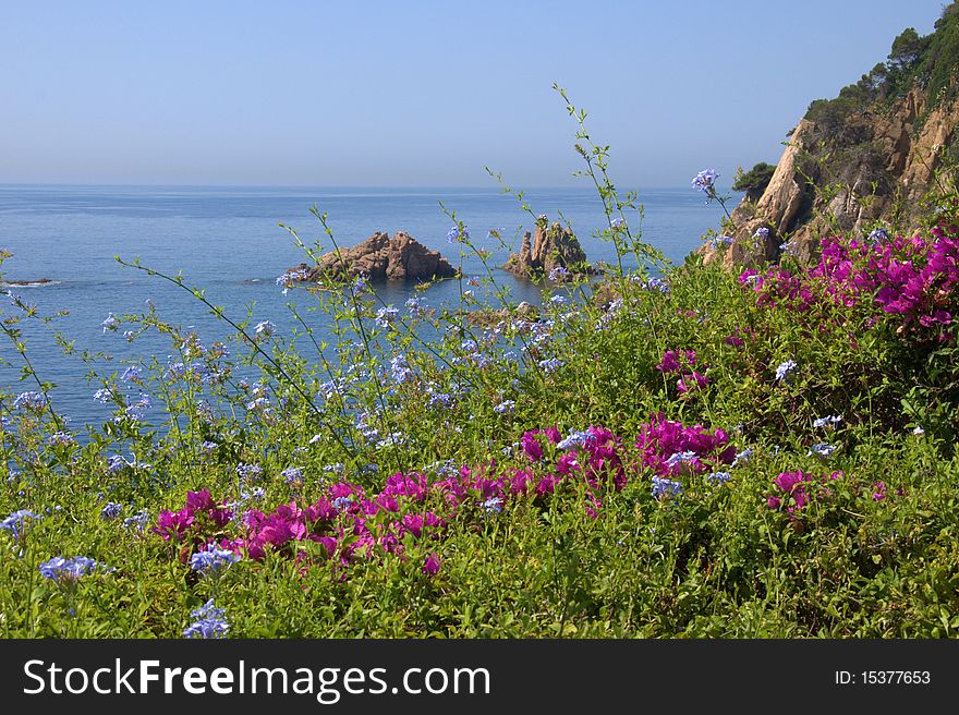 Blanes coast, Costa Brava, Spain, Catalonia. Blanes coast, Costa Brava, Spain, Catalonia