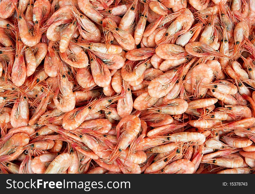 New Boiled Shrimps