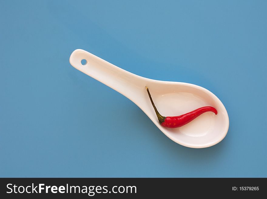 1 chilli on a white spoon on a blue background
