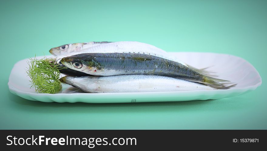 Sardines on the plate with dill