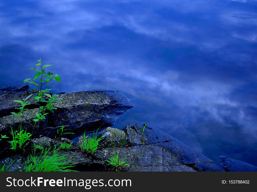 Beautiful reflection of a cloudy sky in a lake and a rocky shore growing through it a plant and some grass. Beautiful reflection of a cloudy sky in a lake and a rocky shore growing through it a plant and some grass.