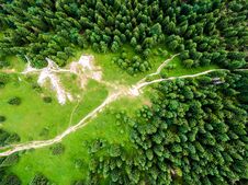 Aerial Top Down View To Forest, Trees And Tourist Paths In Slovakia National Park Mala Fatra. Vibrant Colors, Fresh Nature And Royalty Free Stock Images