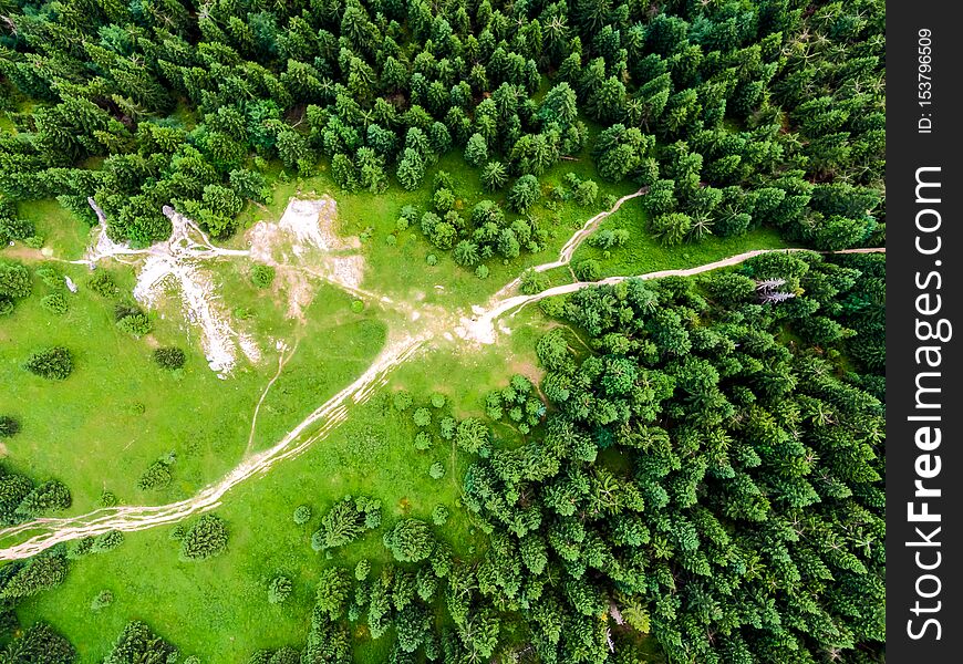 Aerial top down view to forest, trees and tourist paths in Slovakia national park Mala Fatra. Vibrant colors, fresh nature and