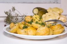 Young Fried Potatoes With Pickles And Patison Royalty Free Stock Photos Young Fried Potatoes With Pickles And Patison Royalty Free Stock Photos