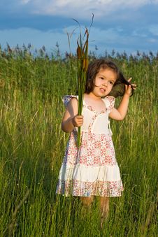 Girl Holding Reeds Stock Images