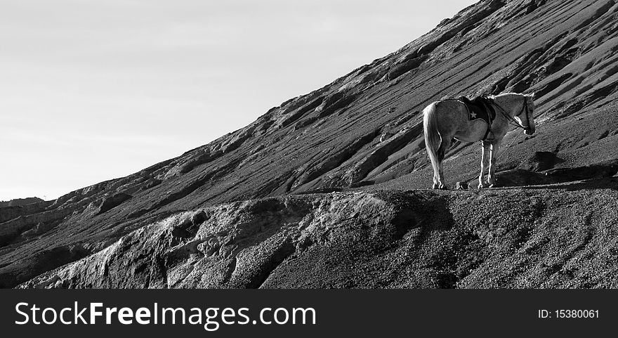 A horse standing at a mountain ridge waiting for tourists. A horse standing at a mountain ridge waiting for tourists