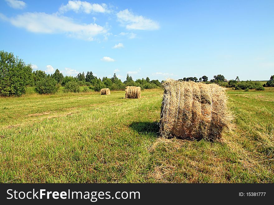 Hay in stack on autumn field