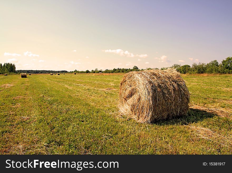 Hay in stack