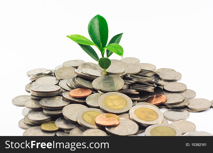 Little Plant Growing From Pile Of Coins