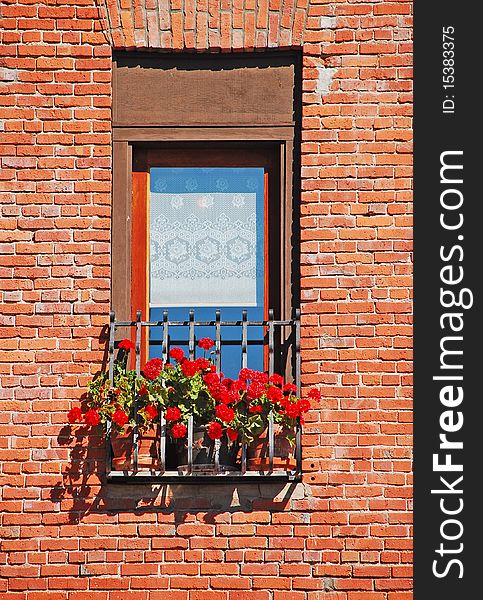 Window with flower planters in old brick wall. Window with flower planters in old brick wall