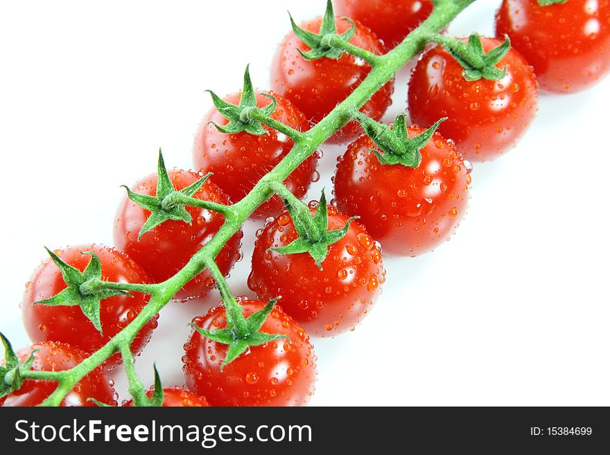 Fresh red cherry tomatoes in green vines