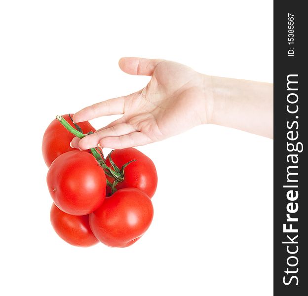 Fresh tomatoes in hand isolated on white