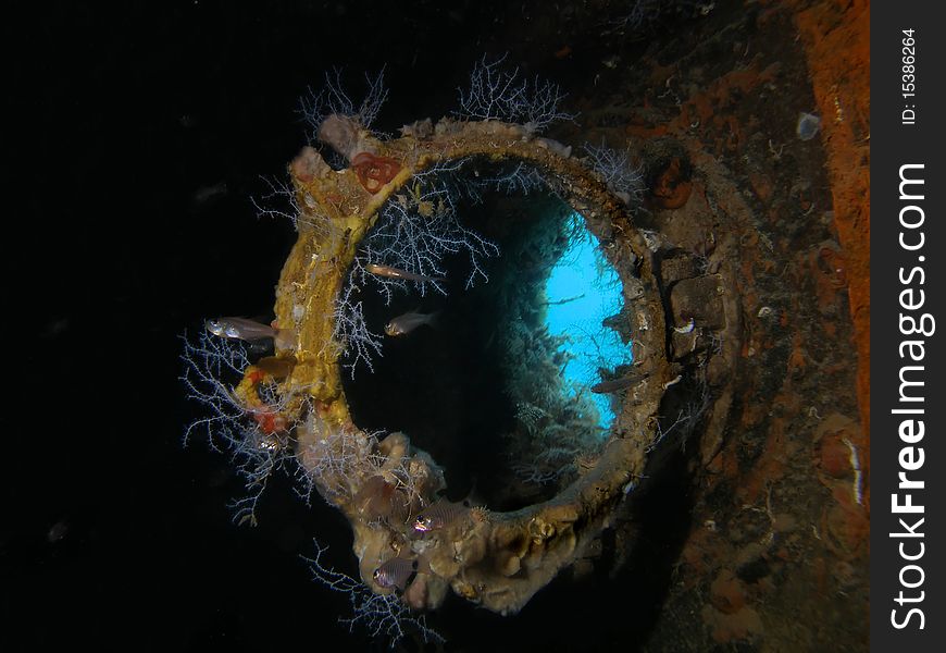 Open illuminator inside the wreck with corals,fish and blue water. Open illuminator inside the wreck with corals,fish and blue water